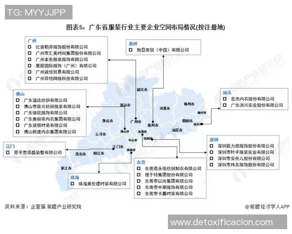 武汉排球队的整体压制革新探索与发展之路全景分析