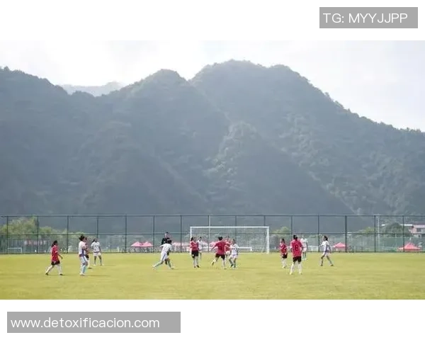 汉中市留坝足球明星的崛起与发展之路探索