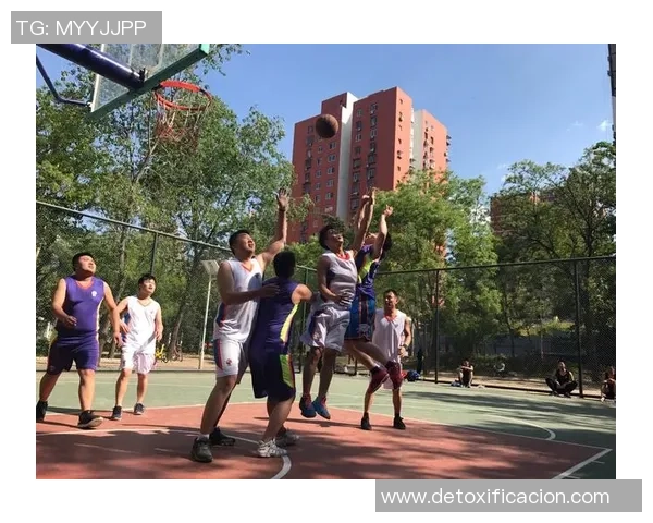 篮球巨献：探秘杭州篮球队的团队协作